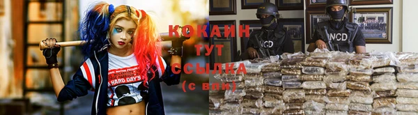 крисы Балабаново