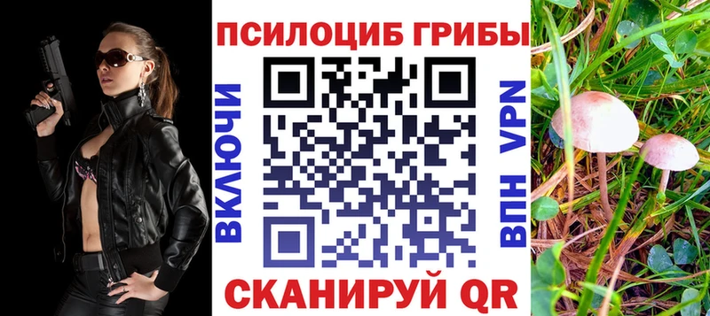 Галлюциногенные грибы мицелий  где найти   Железногорск-Илимский 